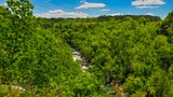 Photos/Images de Little River Canyon National Preserve