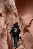 Little Wild Horse Canyon