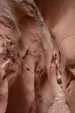 Little Wild Horse Canyon