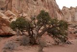 Photos/Images de Little Wild Horse Canyon