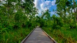 Barataria Preserve