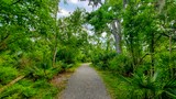Bayou Coquille Trail
