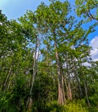 Visitor Center Trail