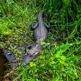 Visitor Center Trail