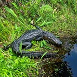 Visitor Center Trail