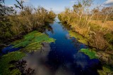 Marsh Overlook Trail