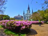 Jackson Square