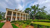 Oak Alley Plantation