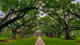 Oak Alley Plantation