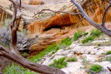 Monarch Cave Ruins