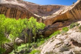 Monarch Cave Ruins
