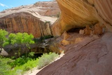 Monarch Cave Ruins