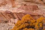 Split Level Ruins