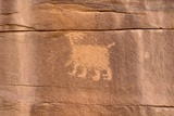 Wolfman Panel