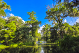 Big Cypress Lake