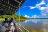Wildlife Boat Tour