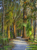 Audubon Swamp Garden