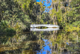 Big Cypress Lake