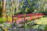 Photos/Images de Magnolia Plantation & Gardens