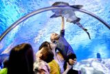 Photos/Images de Mall of America