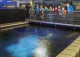 SEA LIFE Minnesota Aquarium