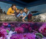 SEA LIFE Minnesota Aquarium