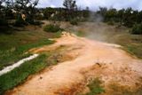 Grassy Spring