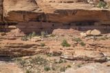 Moon House Ruin
