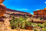 McCloyd Canyon