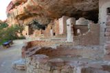 Spruce Tree House