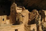 Spruce Tree House