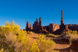 Totem Pole & Yei Bi Che