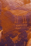 Pétroglyphes