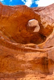 Pine Tree Arch