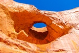 Pine Tree Arch