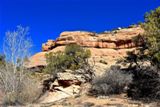 South Fork of Mule Canyon