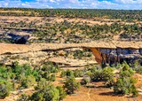 Owachomo Bridge Viewpoint