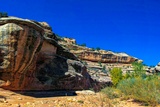 Loop Trails