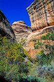 Loop Trails