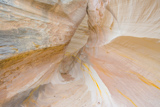 Photos/Images de Nautilus Rock