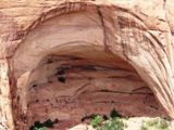 Fotos de Navajo National Monument