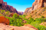 Grandstaff Canyon