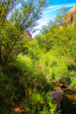 Grandstaff Canyon
