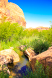 Grandstaff Canyon