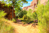 Grandstaff Canyon