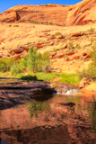 Grandstaff Canyon