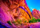 Morning Glory Arch