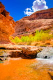 Grandstaff Canyon
