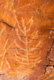 Black Butte Petroglyphs