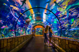 Shark Reef Aquarium